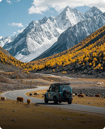 Self-drive Tourism